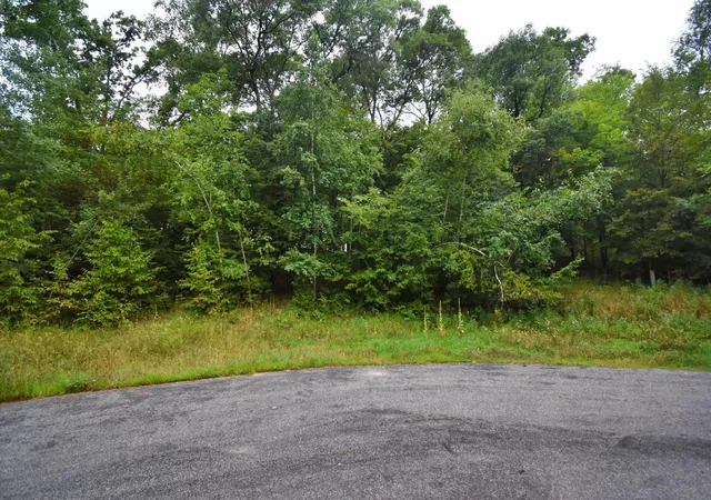 5th image of Tbd Osceola Circle, Pequot Lakes, MN 56472 | MLS# 6591189