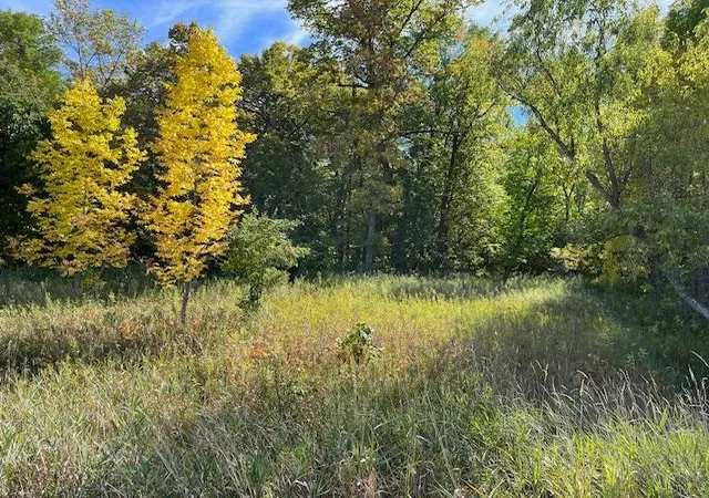 12th image of Xxxx Woodsmen Ln Sw, Alexandria, MN 56308 | MLS# 6591480