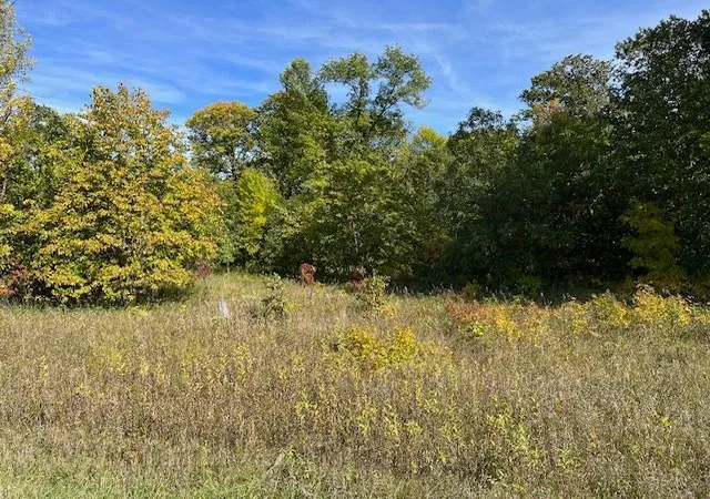 2nd image of Xxxx Woodsmen Ln Sw, Alexandria, MN 56308 | MLS# 6591480