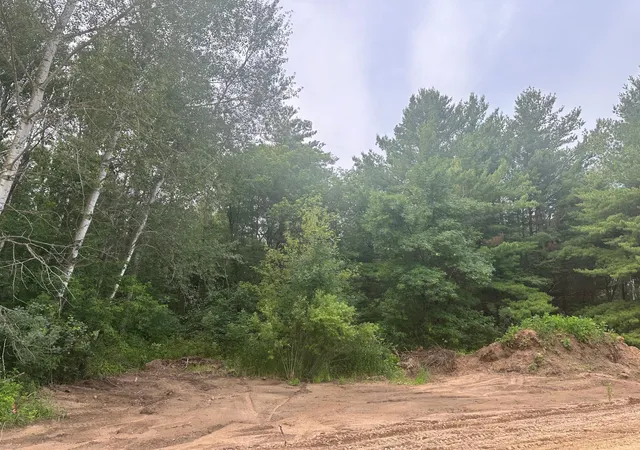 Homes for sale in Randall, MN | Lot 14 Blk 1 Brummer Dr, Randall, MN 56475 | MLS# 6593524
