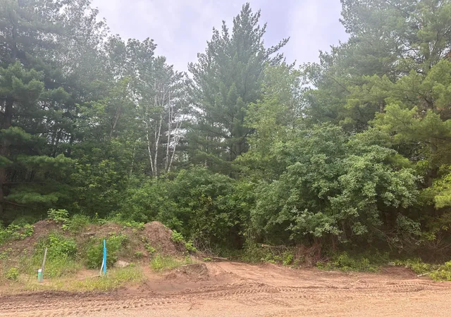 Homes for sale in Randall, MN | Lot 13 Blk 1 Brummer Dr, Randall, MN 56475 | MLS# 6593539