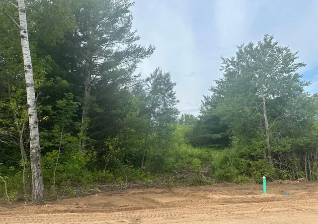 Homes for sale in Randall, MN | Lot 12 Blk 1 Brummer Dr, Randall, MN 56475 | MLS# 6593549