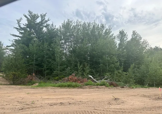 Homes for sale in Randall, MN | Lot 11 Blk 1 Brummer Dr, Randall, MN 56475 | MLS# 6593551