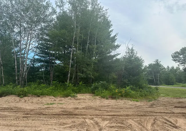 Homes for sale in Randall, MN | Lot 1 Blk 1 Brummer Dr, Randall, MN 56475 | MLS# 6593654
