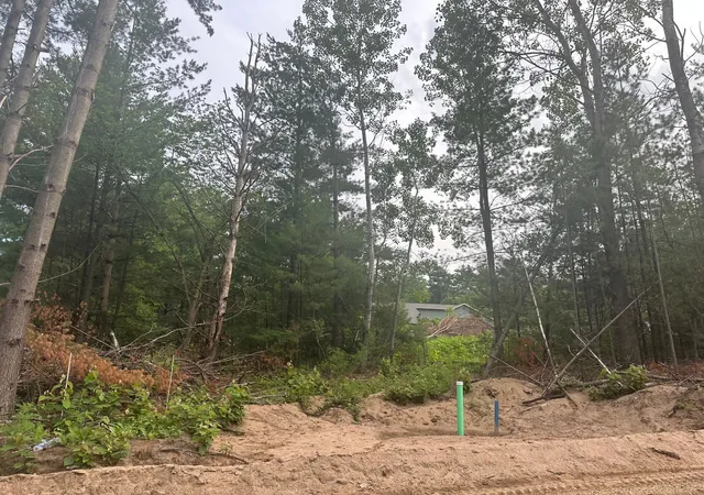 Homes for sale in Randall, MN | Lot 3 Blk 1 Brummer Dr, Randall, MN 56475 | MLS# 6593719