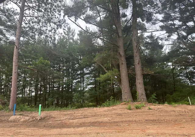 Homes for sale in Randall, MN | Lot 2 Blk 2 Ridgewood Dr, Randall, MN 56475 | MLS# 6593779