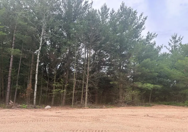 Homes for sale in Randall, MN | Lot 3 Blk 2 Brummer Dr, Randall, MN 56475 | MLS# 6593784