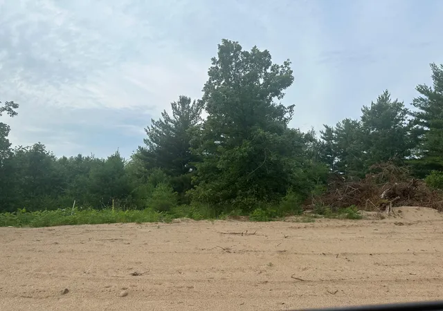 Homes for sale in Randall, MN | Lot 5 Blk 2 Brummer Dr, Randall, MN 56475 | MLS# 6593794