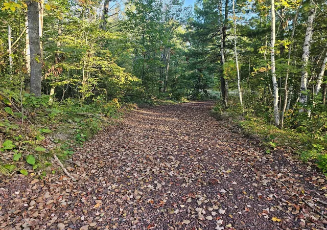 Homes for sale in Crosby, MN | Lot 5 Blk 1, 54 Acres County Road 30, Crosby, MN 56441 | MLS# 6603434