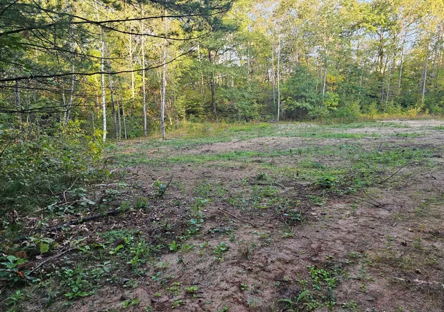 Homes for sale in Crosby, MN | Lot 5 Blk 1, 54 Acres County Road 30, Crosby, MN 56441 | MLS# 6603434