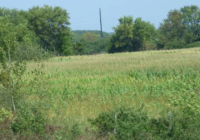 Photo 4 of Land for sale at 22061 589Th Ave, Mankato, MN 56001 | MLS# 6605230 | Listing updated on 2026-06-15