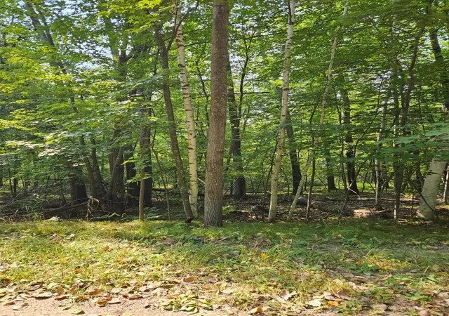 Photo 3 of Land for sale at Lots 41 43 Catskill Dr, Pequot Lakes, MN 56472 | MLS# 6605930 | Listing updated on 2026-09-03