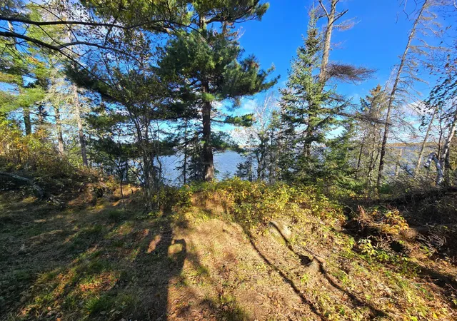 Photo 2 of Land for sale at Tract 8 Brush Is, Angle Inlet, MN 56711 | MLS# 6615933 | Listing updated on 2026-09-19