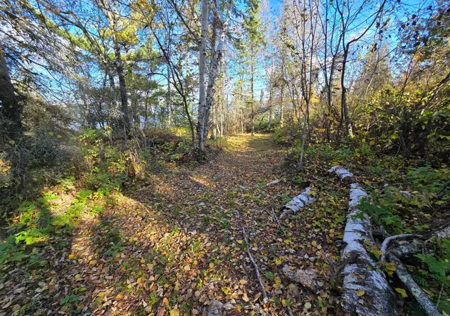 Photo 2 of Land for sale at Tract 8 Brush Is, Angle Inlet, MN 56711 | MLS# 6615933 | Listing updated on 2026-10-12