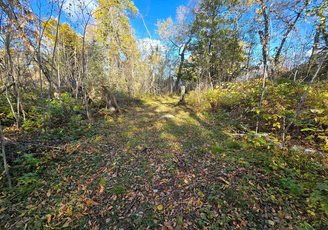 Photo 3 of Land for sale at Tract 8 Brush Is, Angle Inlet, MN 56711 | MLS# 6615933 | Listing updated on 2026-10-12