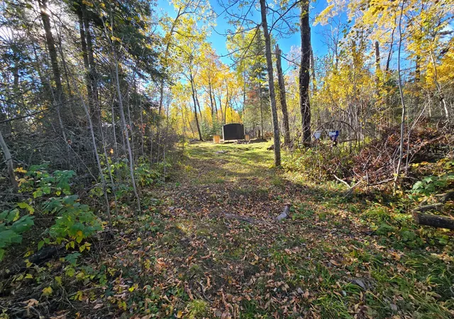 Photo 4 of Land for sale at Tract 8 Brush Is, Angle Inlet, MN 56711 | MLS# 6615933 | Listing updated on 2026-09-19