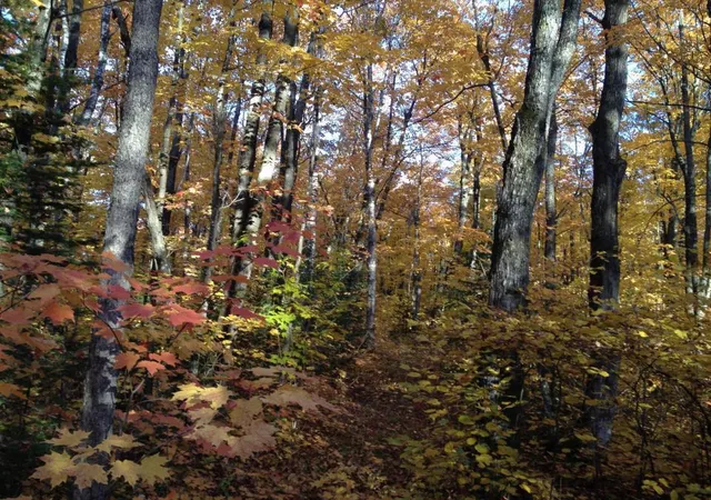 4th image of 446 Stewart Lake Rd, Two Harbors, MN 55616 | MLS# 6616268