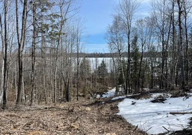 Homes for sale in Lake George, MN | Tbd Lot 5 New Manz Dr, Lake George, MN 56458 | MLS# 6617609