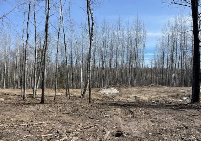 Homes for sale in Lake George, MN | Tbd Lot 5 New Manz Dr, Lake George, MN 56458 | MLS# 6617609