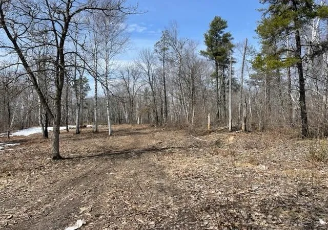 Homes for sale in Lake George, MN | Tbd Lot 6 New Paradise Point Dr, Lake George, MN 56458 | MLS# 6617610