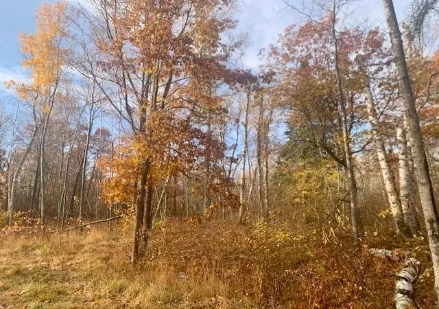 Homes for sale in Lake George, MN | Tbd County 4   Lot 9, Lake George, MN 56458 | MLS# 6619972