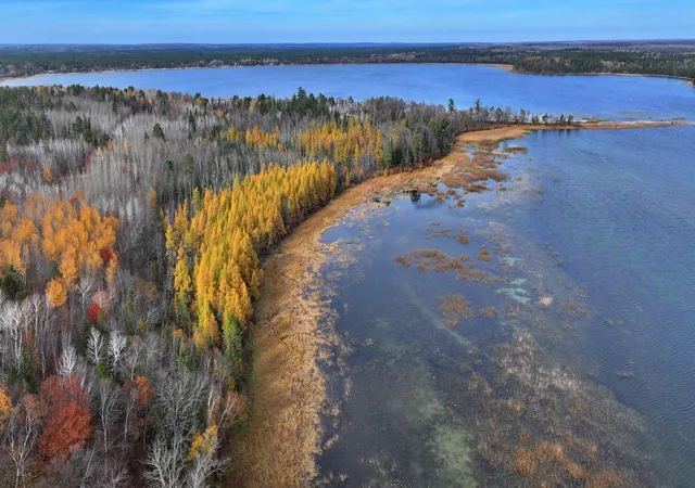 Homes for sale in Lake George, MN | Tbd County 4   Lot 9, Lake George, MN 56458 | MLS# 6619972