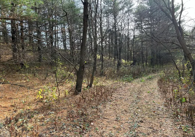 Photo 3 of Land for sale at 1888 80th St, Somerset, WI 54025 | MLS# 6620079 | Listing updated on 2026-06-15