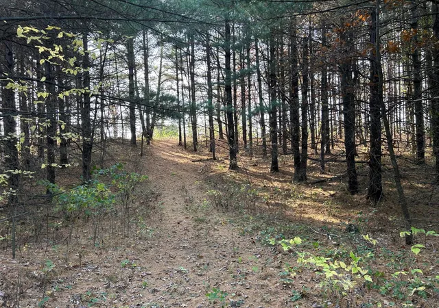 Photo 4 of Land for sale at 1888 80Th St, Somerset, WI 54025 | MLS# 6620079 | Listing updated on 2026-06-15