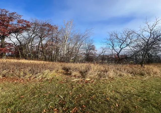Homes for sale in Wabasha, MN | Lot 9 177th Avenue, Wabasha, MN 55981 | MLS# 6627407