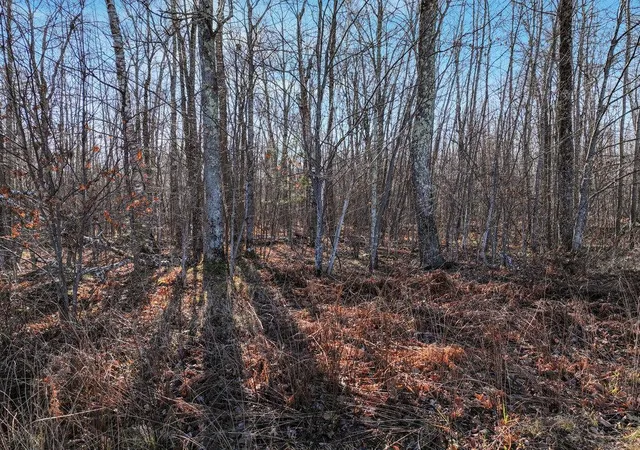 Photo 3 of Land for sale at Lot 14 Peninsula Rd, Hayward, WI 54843 | MLS# 6633344 | Listing updated on 2026-08-18