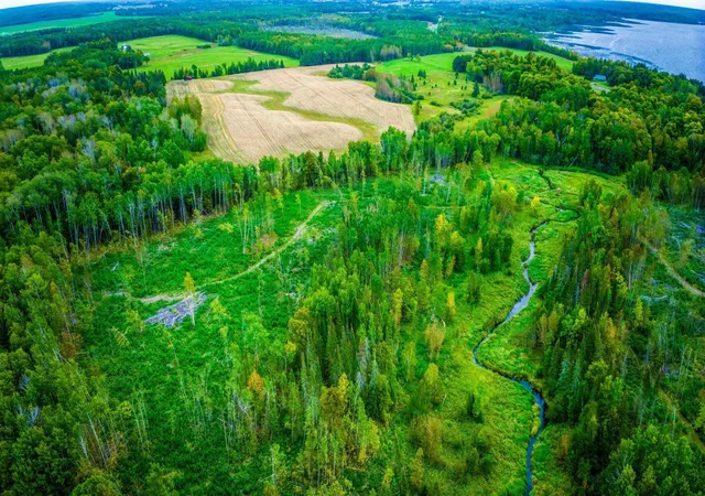 Photo 3 of Land for sale at Lot N 3 Blackduck Lake Rd Ne, Hines, MN 56647 | MLS# 6639077 | Listing updated on 2026-10-02
