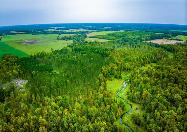 Photo 3 of Land for sale at Lot N 3 Blackduck Lake Rd NE, Hines, MN 56647 | MLS# 6639077 | Listing updated on 2026-10-02