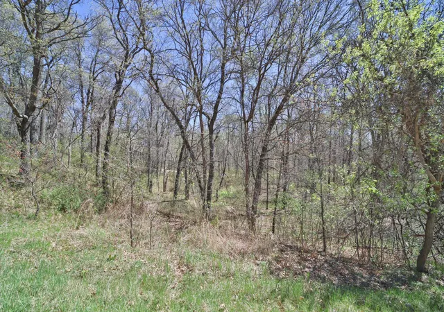 Photo 3 of Land for sale at Tbd Cedar St, Pequot Lakes, MN 56472 | MLS# 6642032 | Listing updated on 2026-08-27