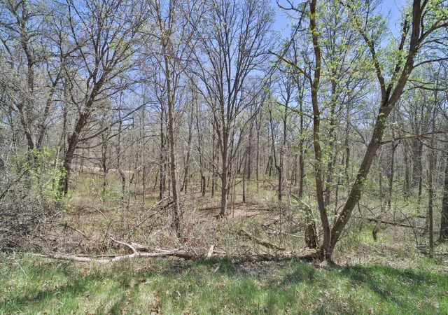 Photo 3 of Land for sale at Tbd Cedar St, Pequot Lakes, MN 56472 | MLS# 6642032 | Listing updated on 2026-08-27