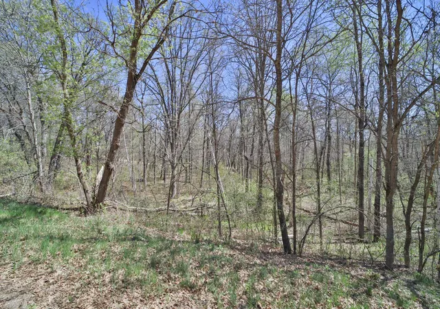 Photo 4 of Land for sale at Tbd Cedar St, Pequot Lakes, MN 56472 | MLS# 6642032 | Listing updated on 2026-08-27