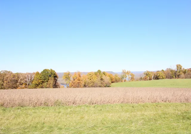 Photo 3 of Land for sale at Lot 14 706th St, Wabasha, MN 55981 | MLS# 6643970 | Listing updated on 2026-06-15