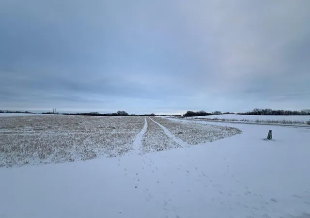 2nd image of 28413 Kaffitz Rd, Red Wing, MN 55066 | MLS# 6654825