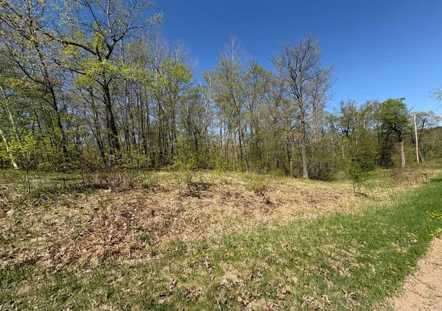 Photo 3 of Land for sale at 5xxx Banyan Dr, Garrison, MN 56450 | MLS# 6657026 | Listing updated on 2026-05-27