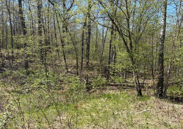 Photo 4 of Land for sale at 5xxx Banyan Dr, Garrison, MN 56450 | MLS# 6657026 | Listing updated on 2026-05-27