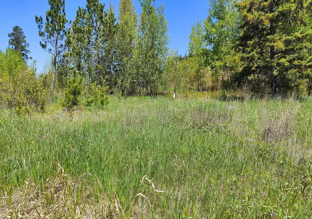 4th image of 80046 Alder Lane, Tower, MN 55790 | MLS# 6660069