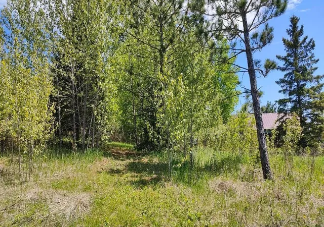 5th image of 80046 Alder Lane, Tower, MN 55790 | MLS# 6660069