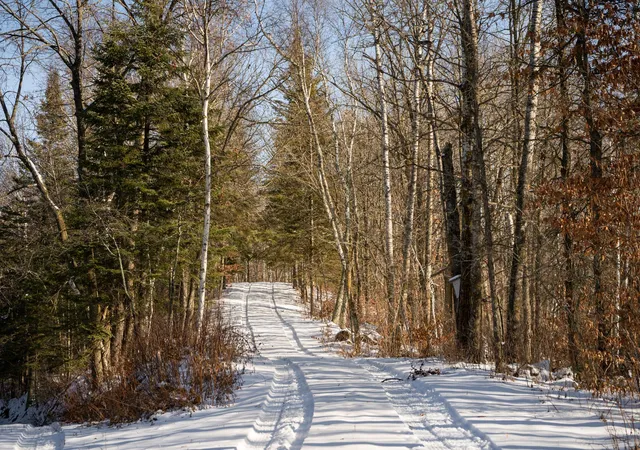 26th image of Tract B Brietbach Rd, Park Rapids, MN 56470 | MLS# 6670020