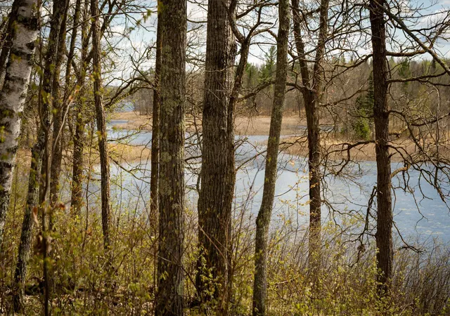 2nd image of Tract A Brietbach Rd, Park Rapids, MN 56470 | MLS# 6670708
