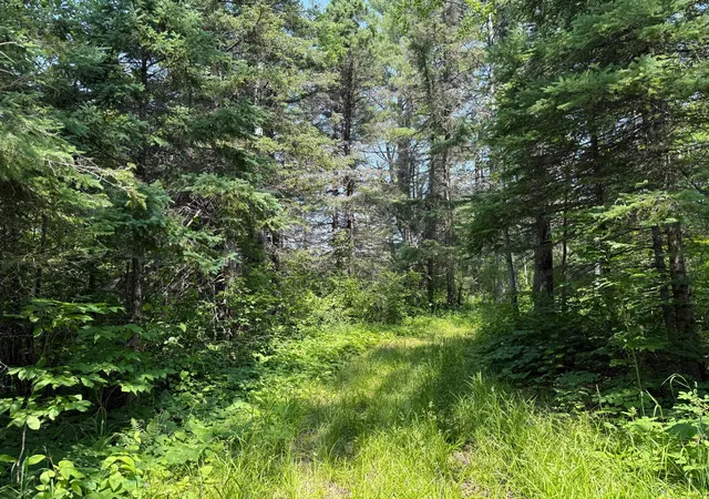 106th image of 3437 Blueberry Hill Rd, Two Harbors, MN 55616 | MLS# 6670887