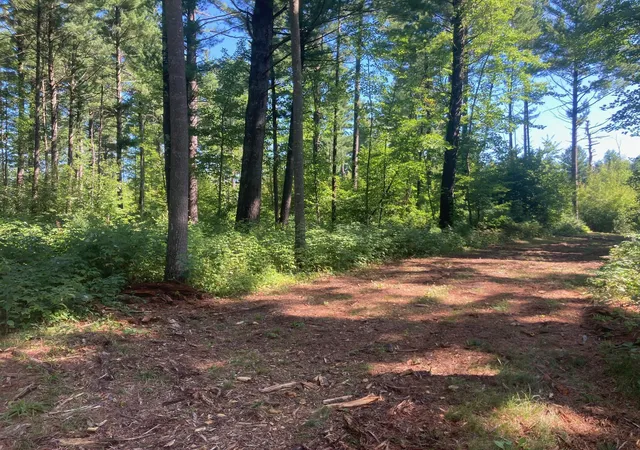 Homes for sale in Grantsburg, WI | Lot 1 Surely Dr, Grantsburg, WI 54840 | MLS# 6673506
