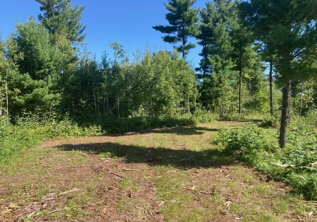 Homes for sale in Grantsburg, WI | Lot 3 Surely Dr, Grantsburg, WI 54840 | MLS# 6673508