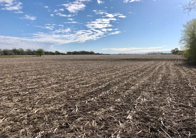 image of Xxx 200th St West, Farmington, MN 55068 | MLS# 6674366
