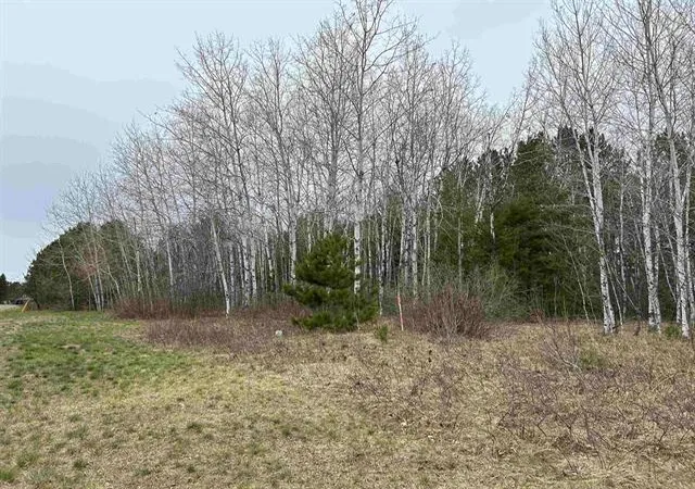 Homes for sale in Iron River, WI | Lot 3 North Shore Dr, Iron River, WI 54847 | MLS# 6675149