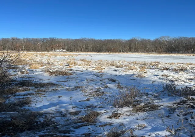 Homes for sale in Randall, MN | Xxx Cardinal Trl, Randall, MN 56475 | MLS# 6679619