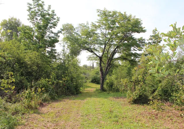 15th image of Lot 1 E Camp Amnicon Rd, South Range, WI 54874 | MLS# 6683719